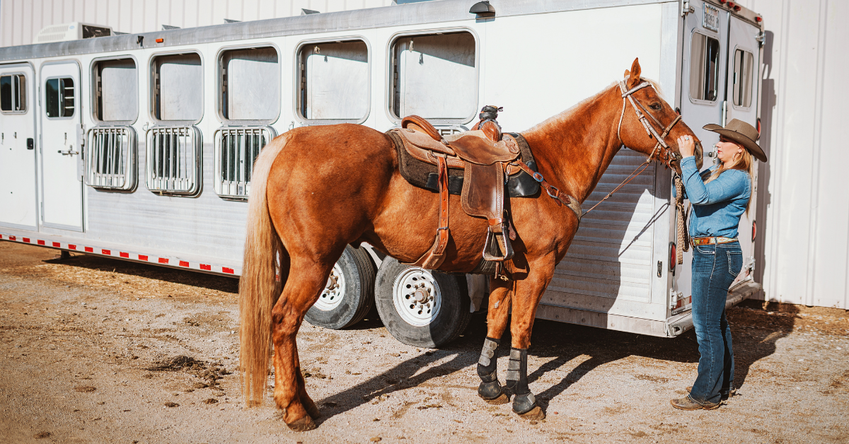 7 Most Important Things To Know Before Buying a Horse Trailer